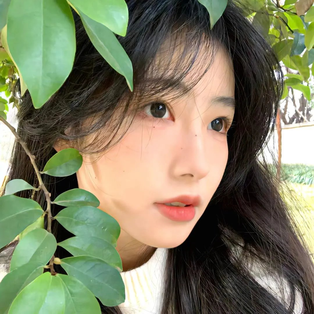 旧案寻凶第二季